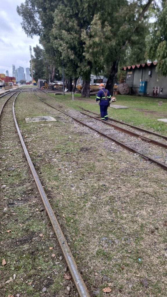 Operario cortando pastizal junto a vías de tren con skyline de CABA de fondo