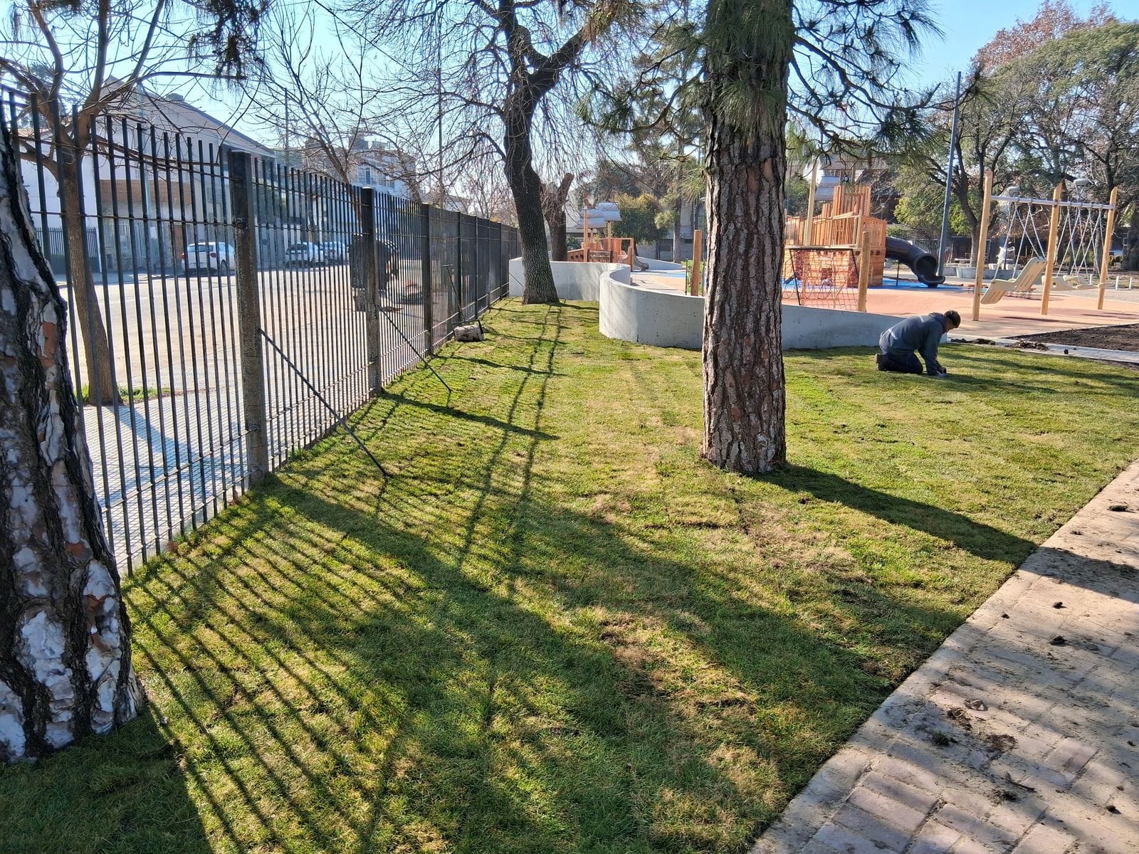 Colocación de césped natural recién instalado en una plaza
