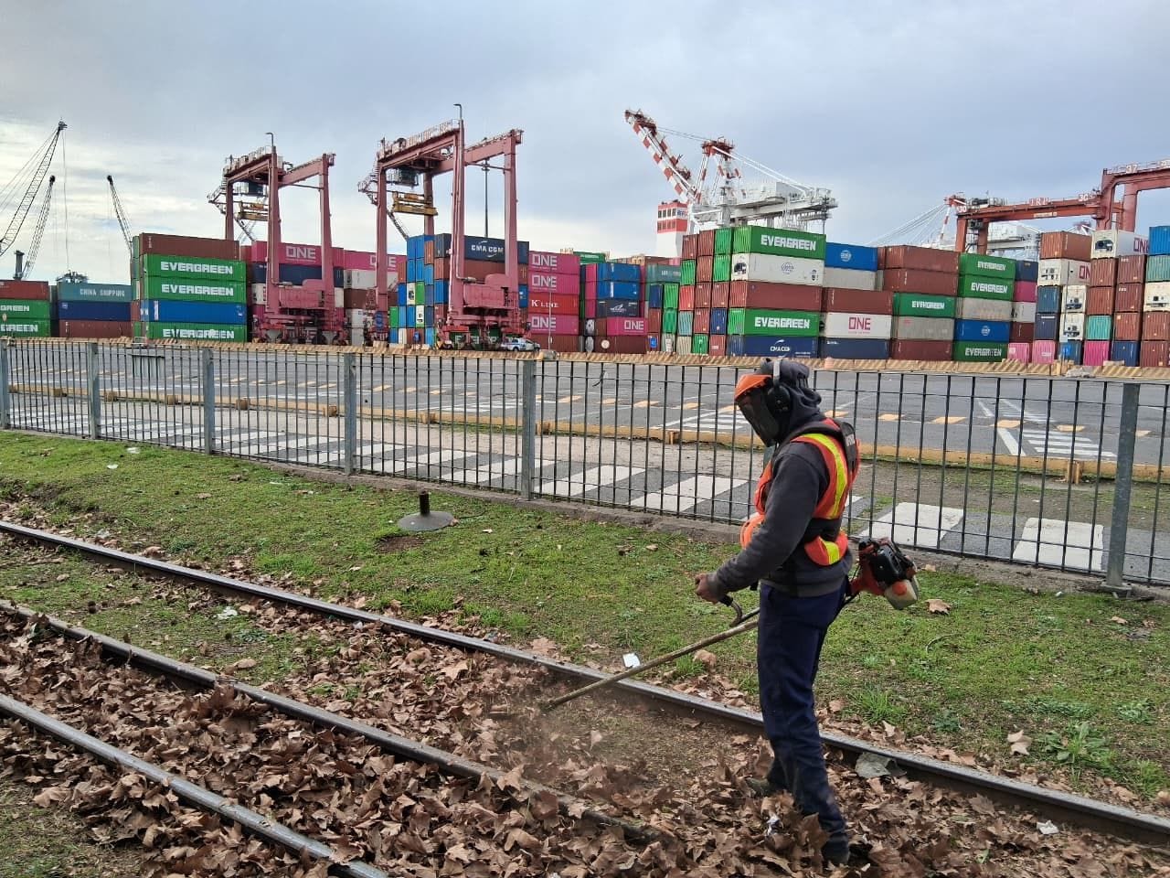 Operario de EV manteniendo el verde en Terminales Río de la Plata, containers de fondo