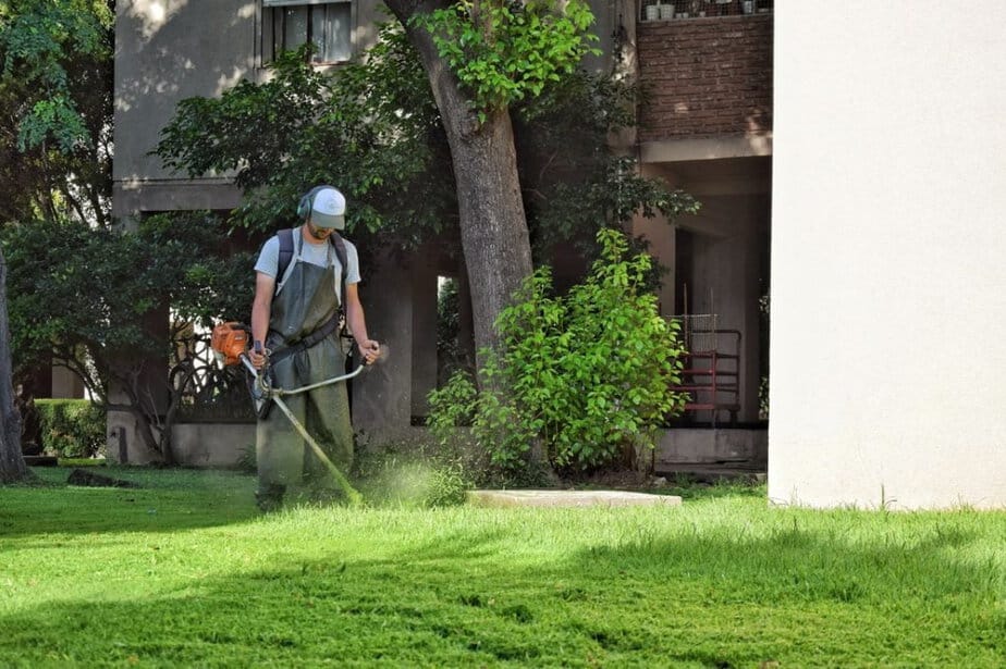 Mantenimiento de espacios verdes en un predio empresarial